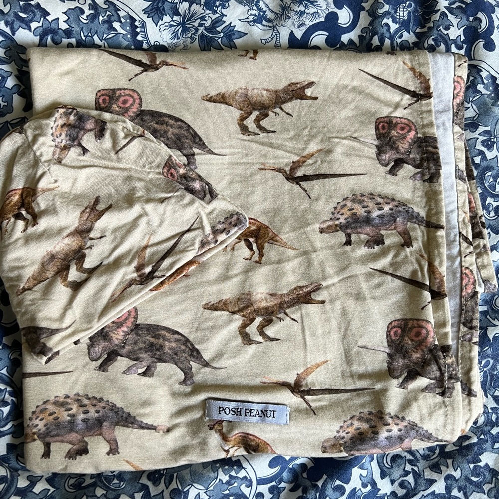 PoshPeanut matching swaddle and beanie